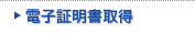 �d�q�ؖ����擾