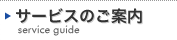�T�[�r�X�̂��ē�