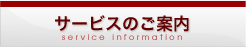 �T�[�r�X�̂��ē�