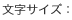 �����T�C�Y