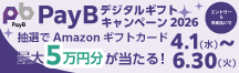 PayBキャンペーン