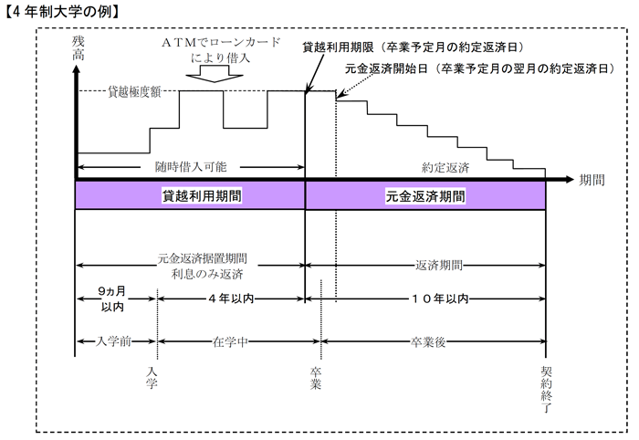 4年生大学の例