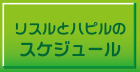 リスルとハピルのスケジュール